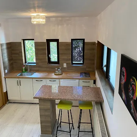 Garsoniera Centrala Lux Royal Craiova