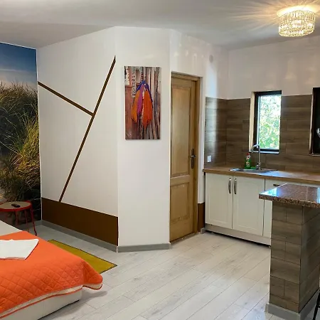 Garsoniera Centrala Lux Royal