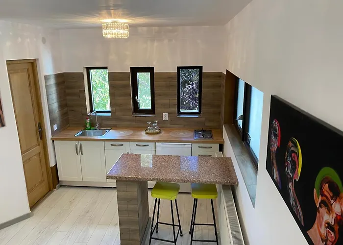 Garsoniera Centrala Lux Royal Craiova